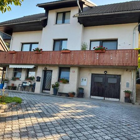 Apartment Katrin Zirovnica Zewnętrze zdjęcie